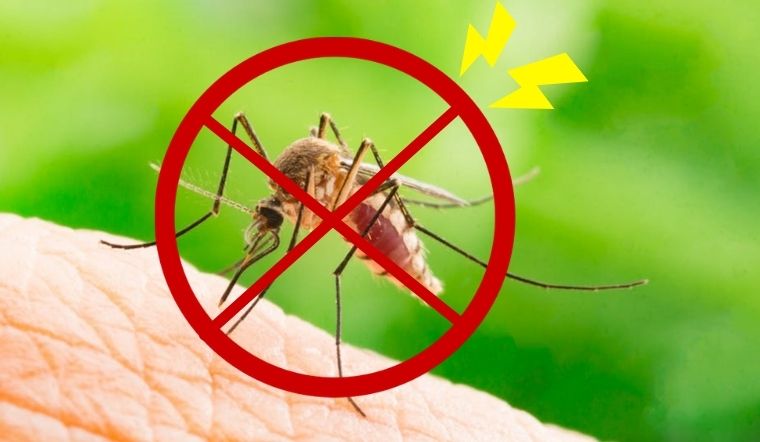 LÀM THẾ NÀO KHI ĐỂ KHÔNG BỊ MUỖI ĐỐT